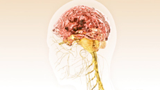 Patientenfilm Multiple Sklerose Gehirn Medizin fr Novartis Pharma